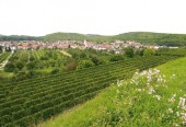 Ferien auf dem Weingut Helde